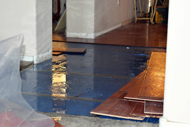 Professional Sewage Cleanup technician working in Baldwin, WI